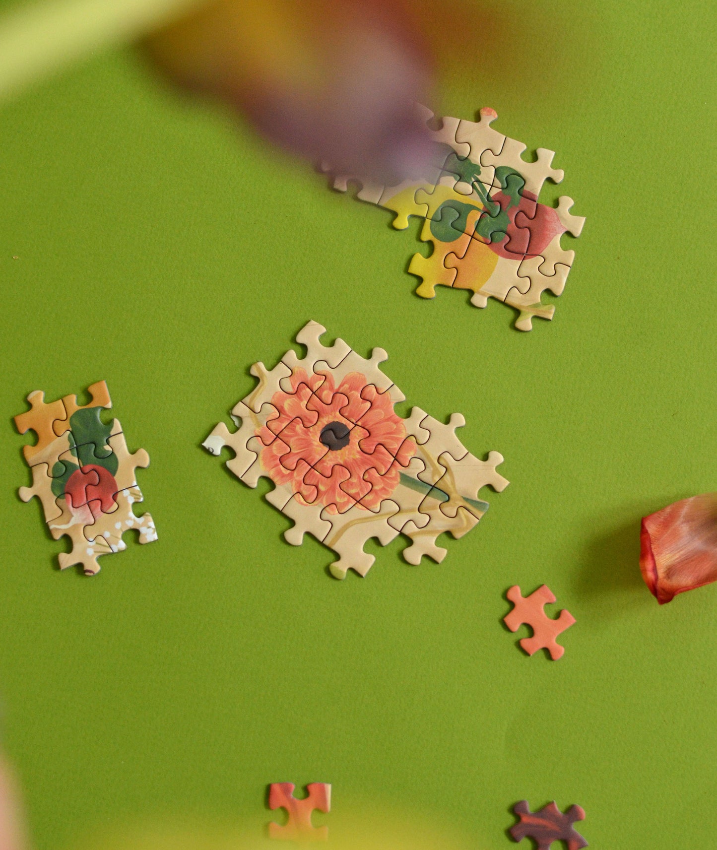 Puzzle 1000 pièces | Le Retour de Marché