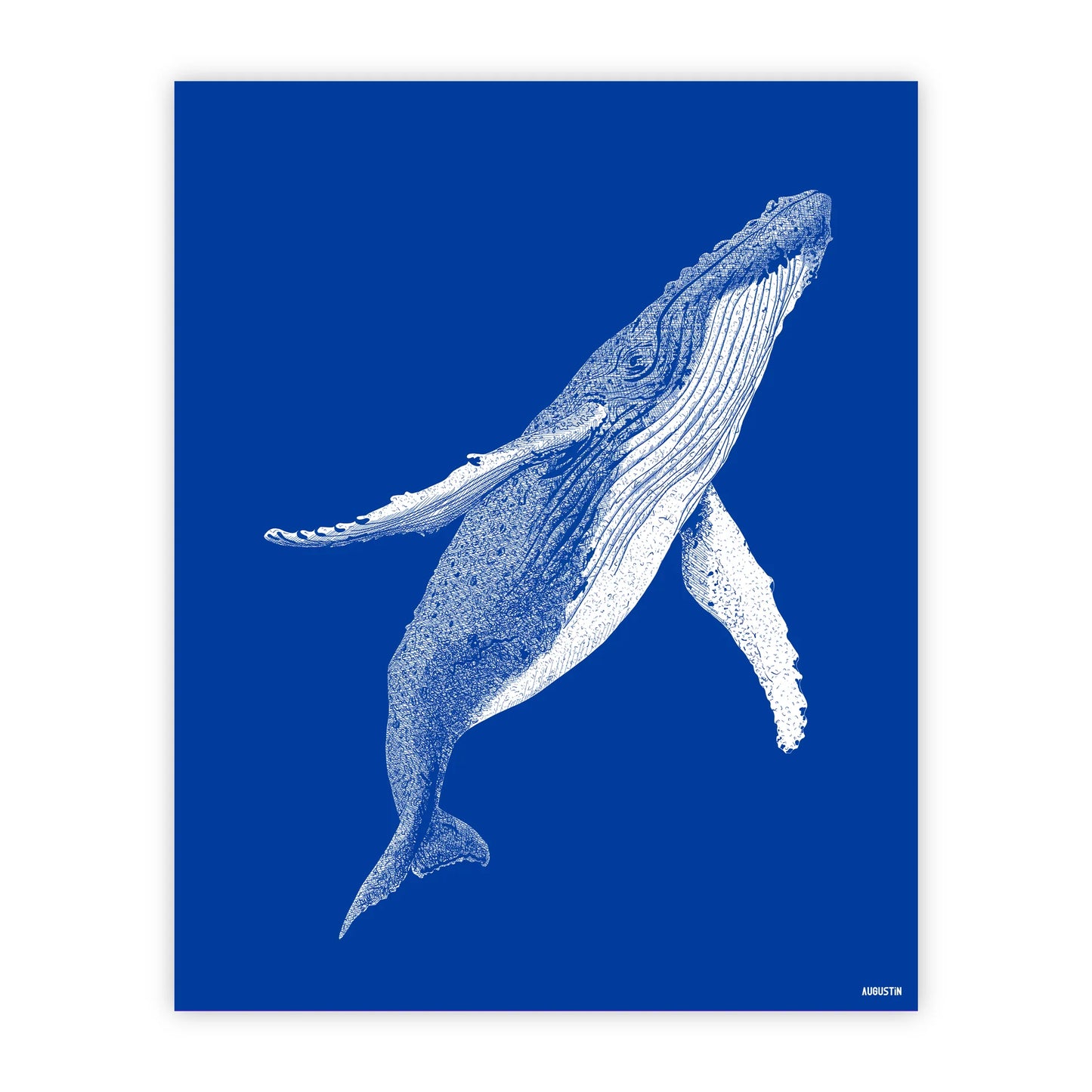 Affiche | L'océan
