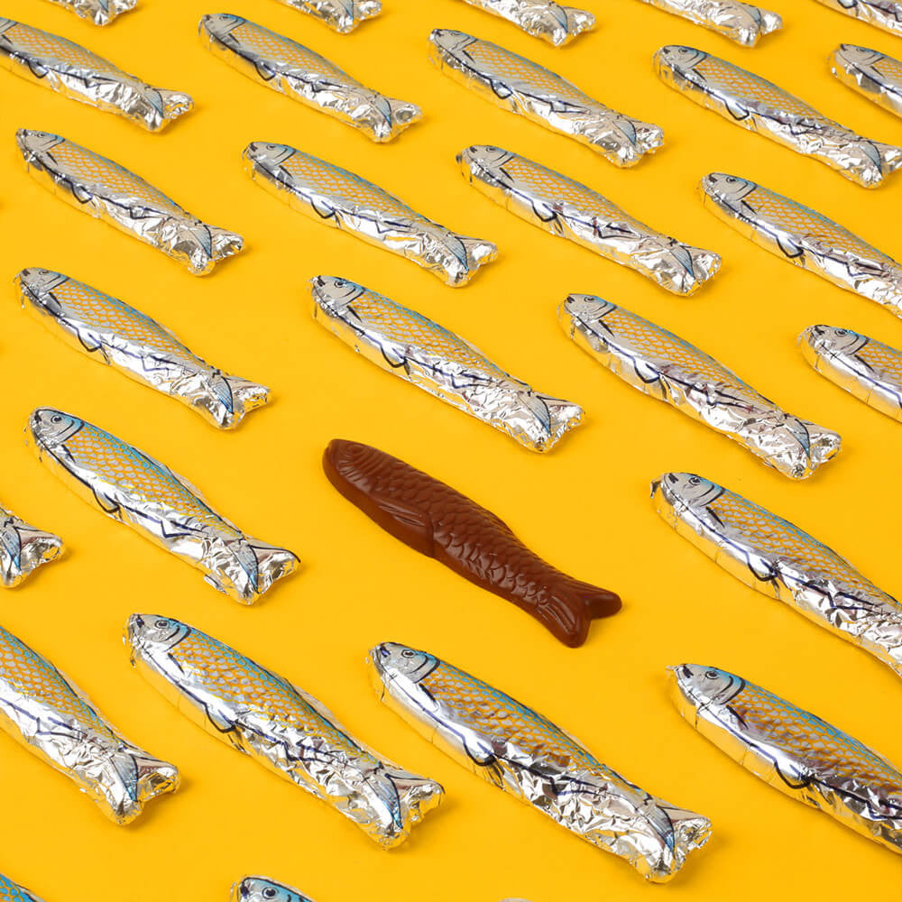 Sardine en chocolat