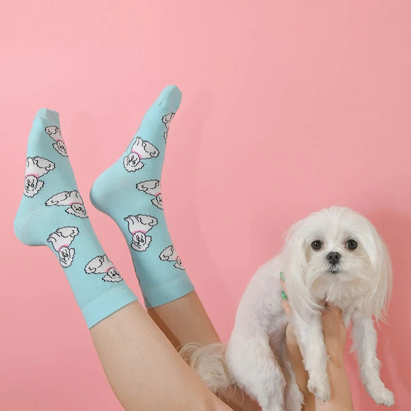 Chaussettes | Animaux - plusieurs motifs