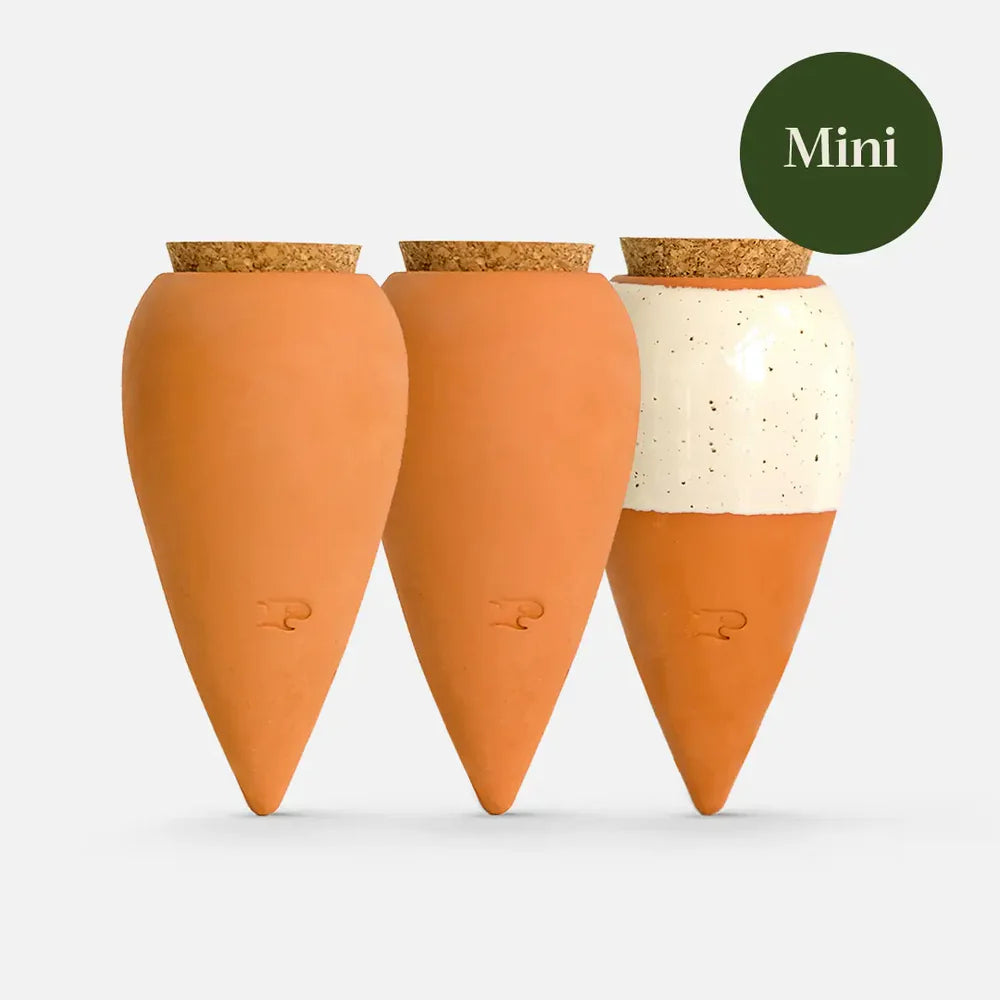 Coffret | Trio mini ollas - divers coloris