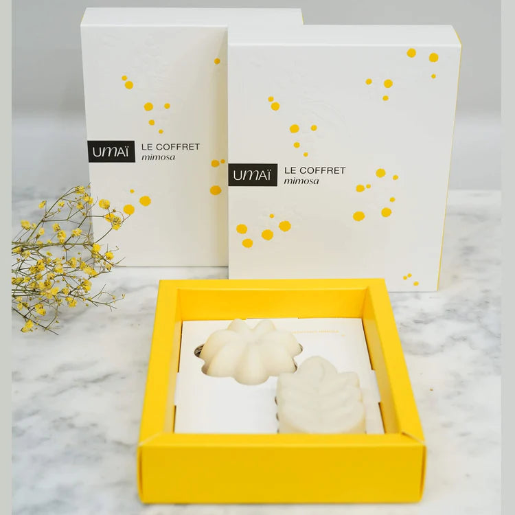 Coffret Shampooing & Soin Lavant au Mimosa