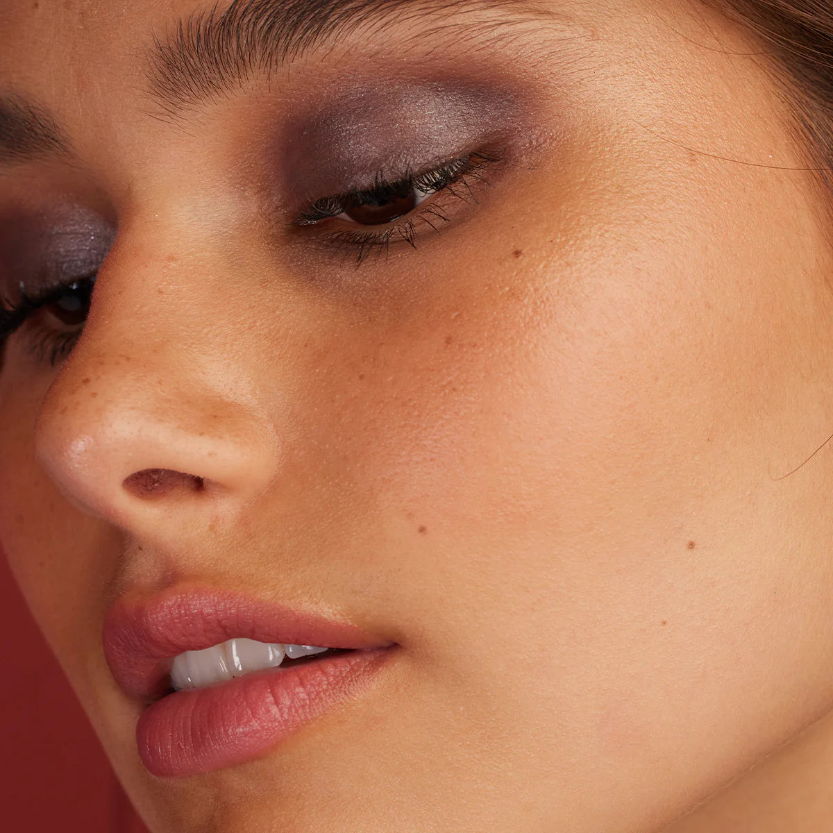 Ombre à Paupières | 004 Prune Minérale