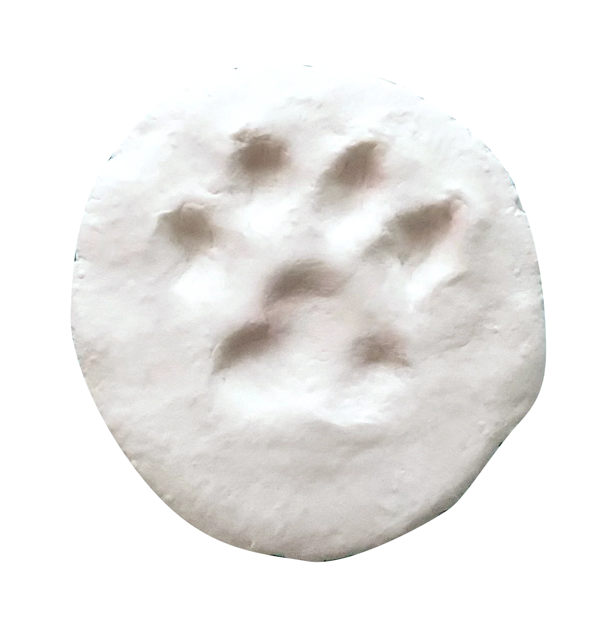 Pâte à modeler naturelle autodurcissante