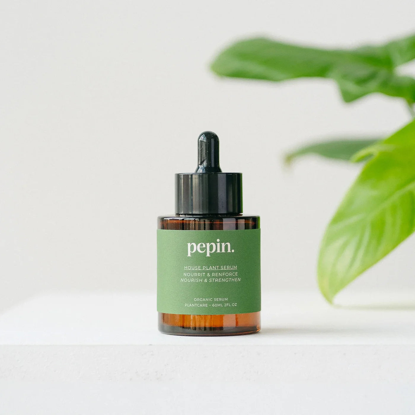 Engrais Naturel Bio | Plantes Vertes