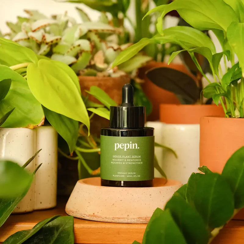 Engrais Naturel Bio | Plantes Vertes