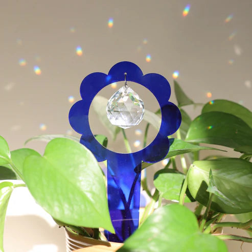 Suncatcher à planter | Billie