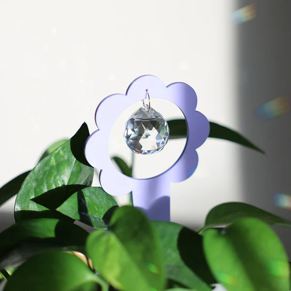 Suncatcher à planter | Billie