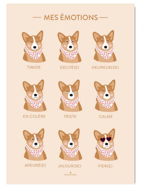 Affiche A4 | Emotions Corgis