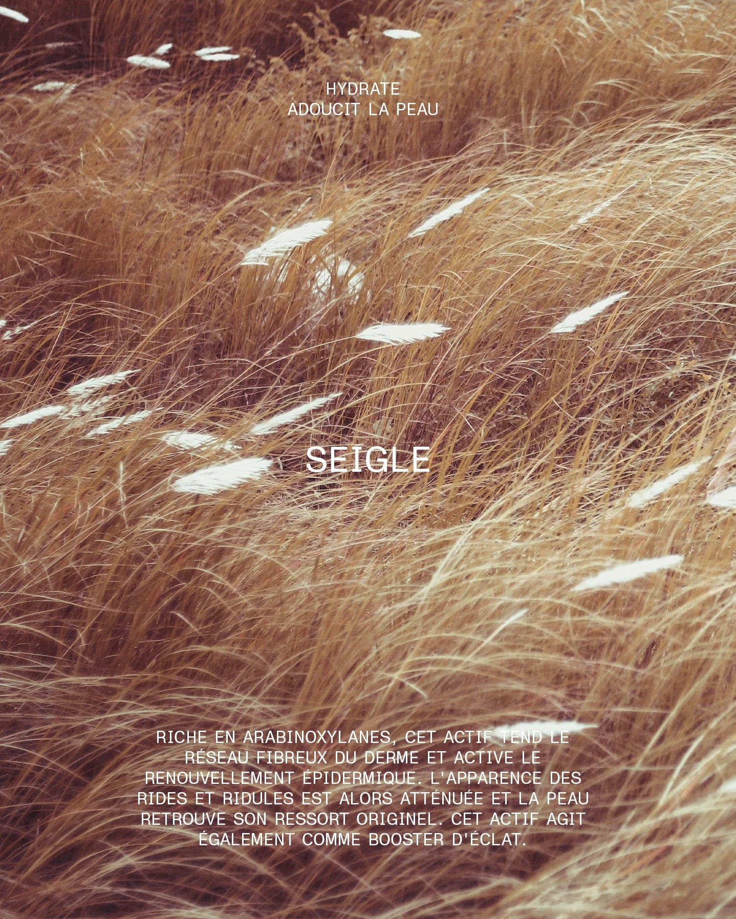 Bronzer | 006 Bronze Cuivre