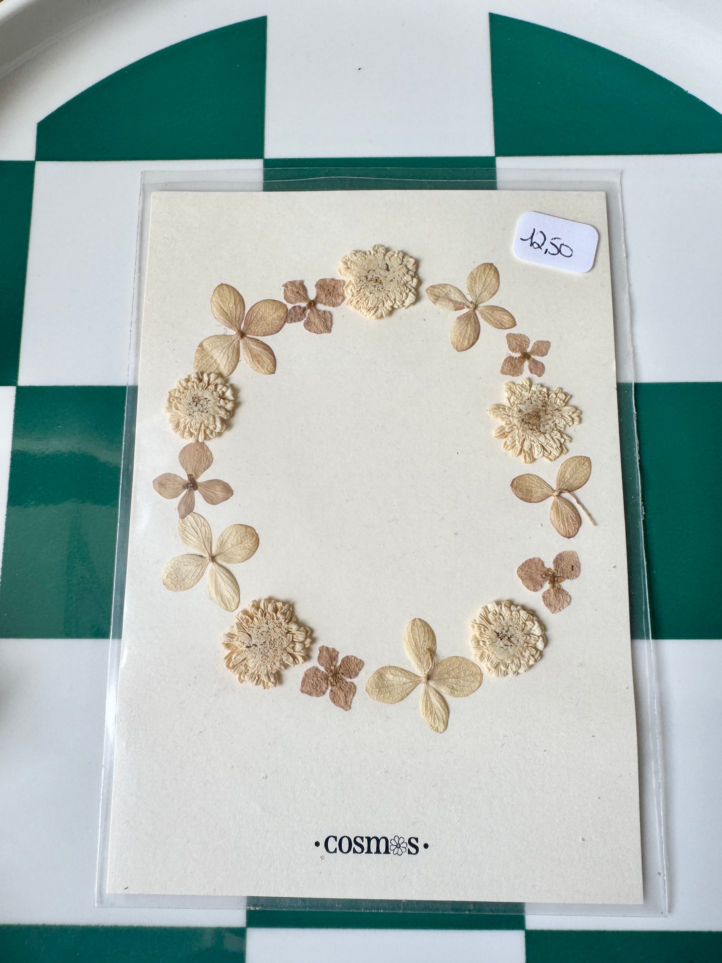 Carte mini herbier sous pochette