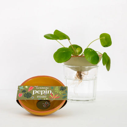 Bobeche | jaune moutarde