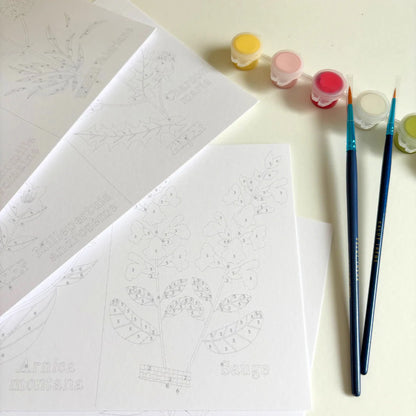 Cartes à peindre | Cueillettes