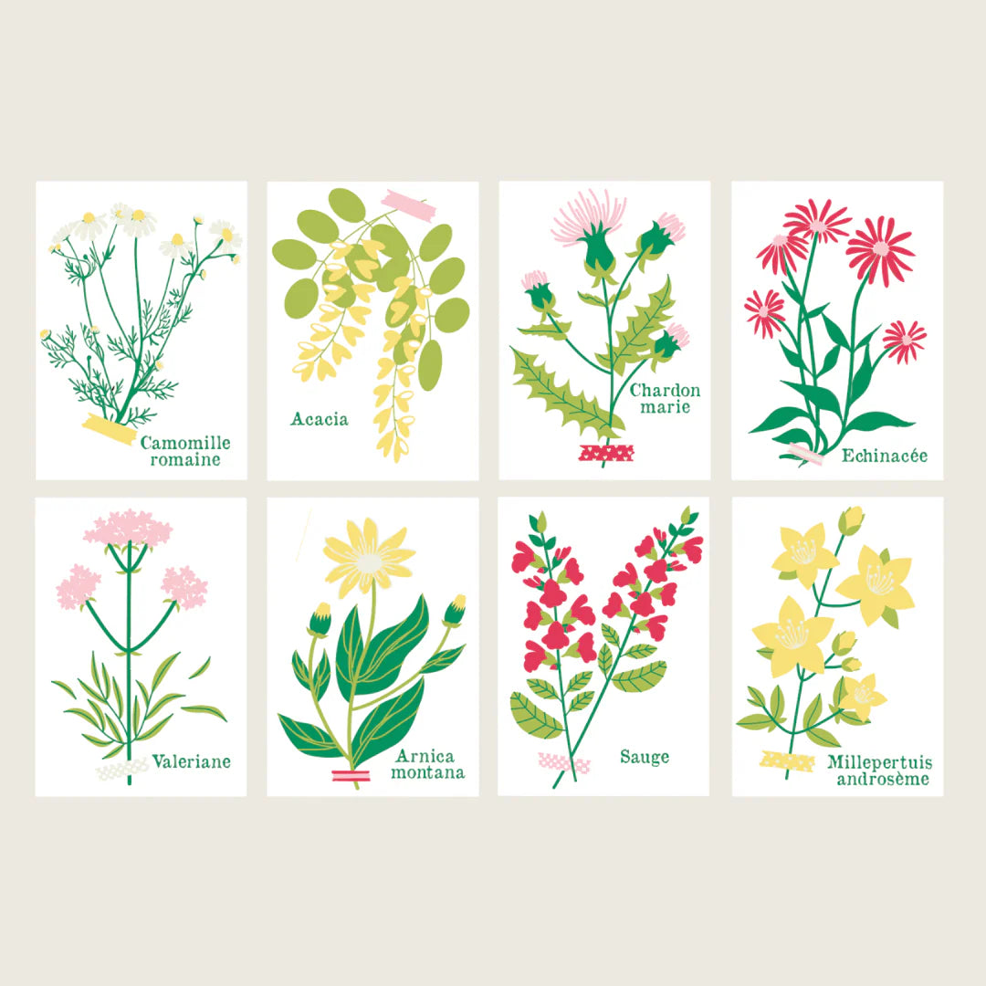 Cartes à peindre | Cueillettes