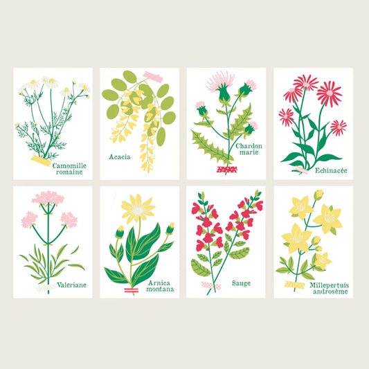 Cartes à peindre | Cueillettes