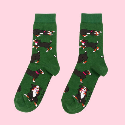 Chaussettes | Animaux - plusieurs motifs