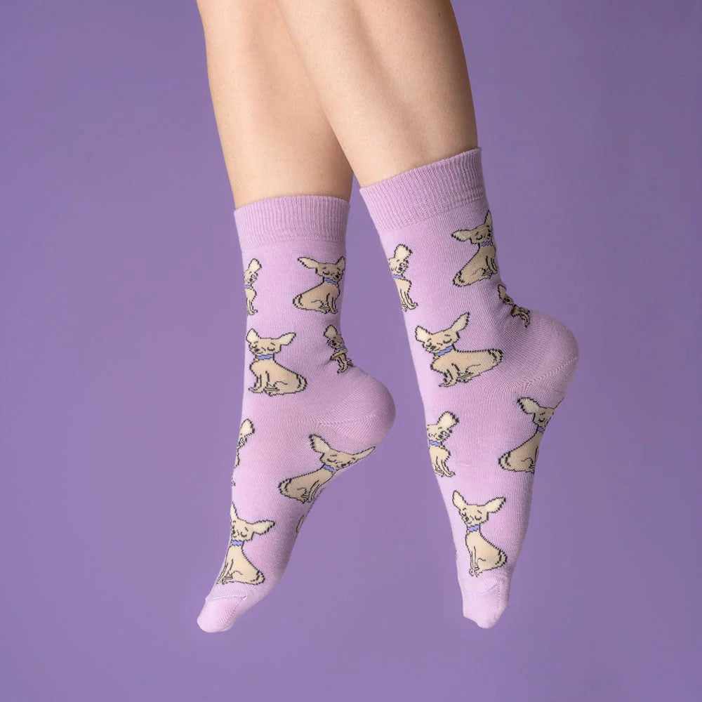 Chaussettes | Chiens & Chats - plusieurs motifs