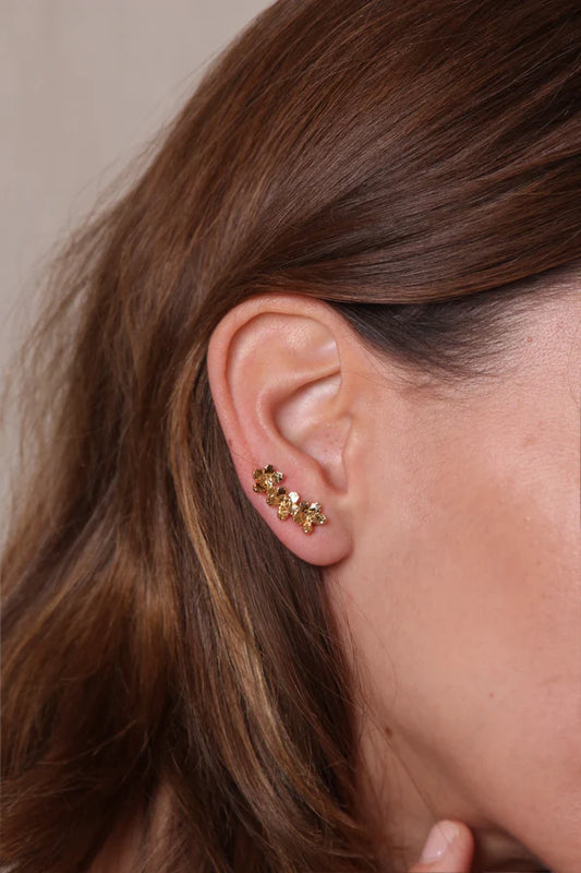 Boucles d'oreilles Contours | Siena