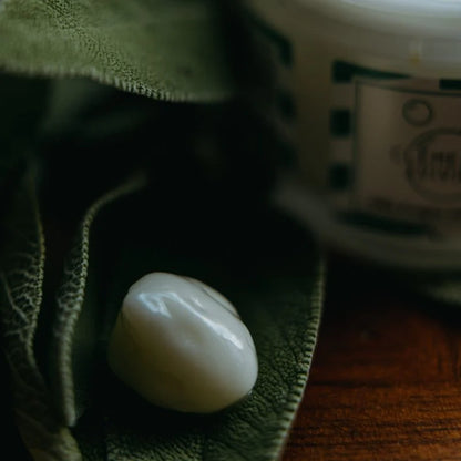 Déodorant crème | L'herbacé