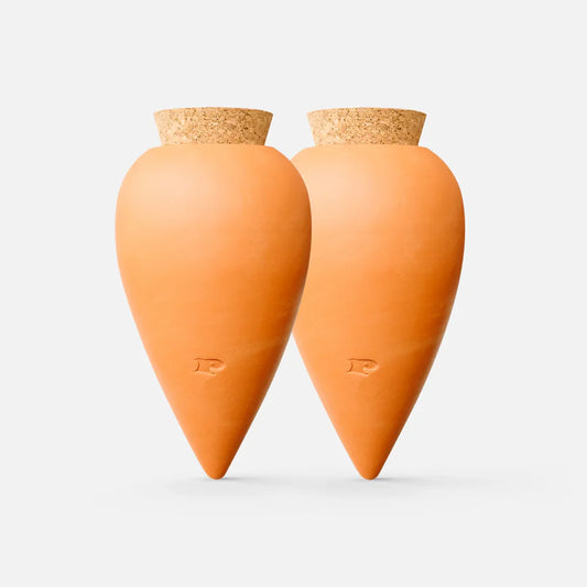 Duo d'Ollas terracotta