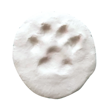 Pâte à modeler naturelle autodurcissante