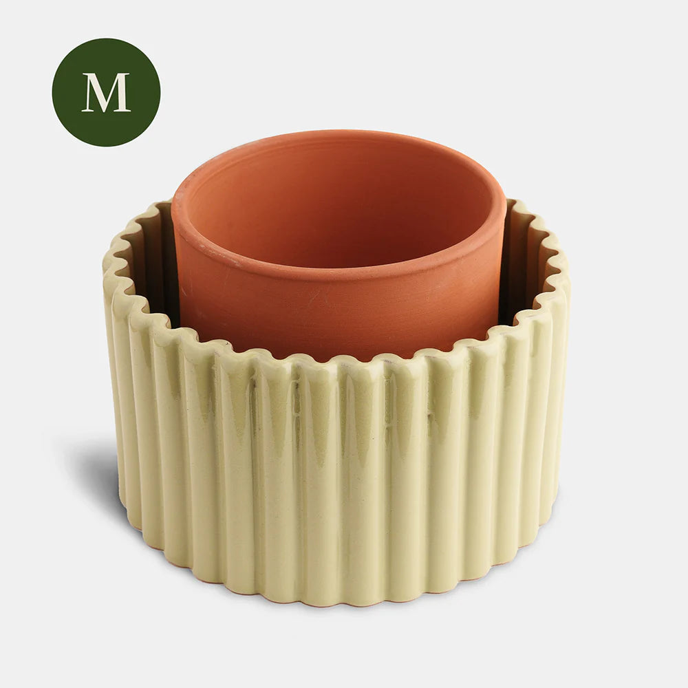 Pot Autonome | Paula Vert Sauge