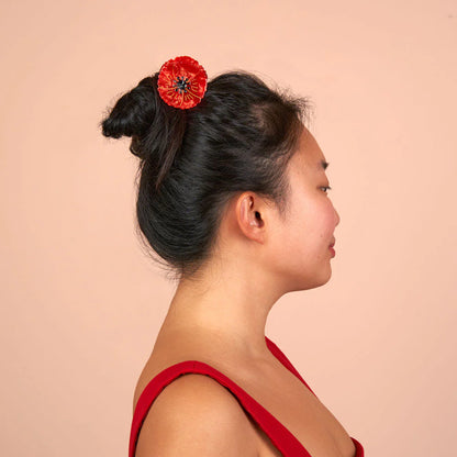 Pinces à cheveux | plusieurs modèles