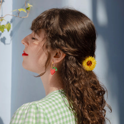 Pinces à cheveux | plusieurs modèles