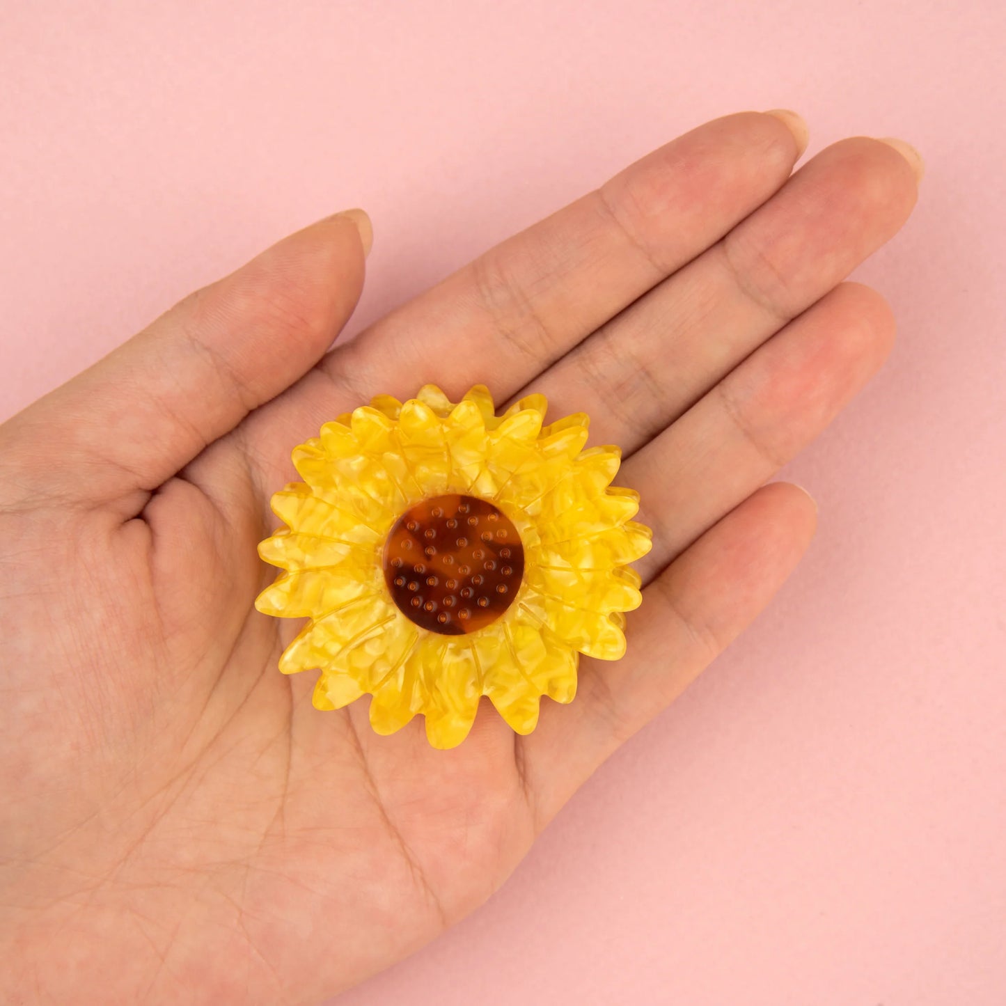 Pinces à cheveux | plusieurs modèles