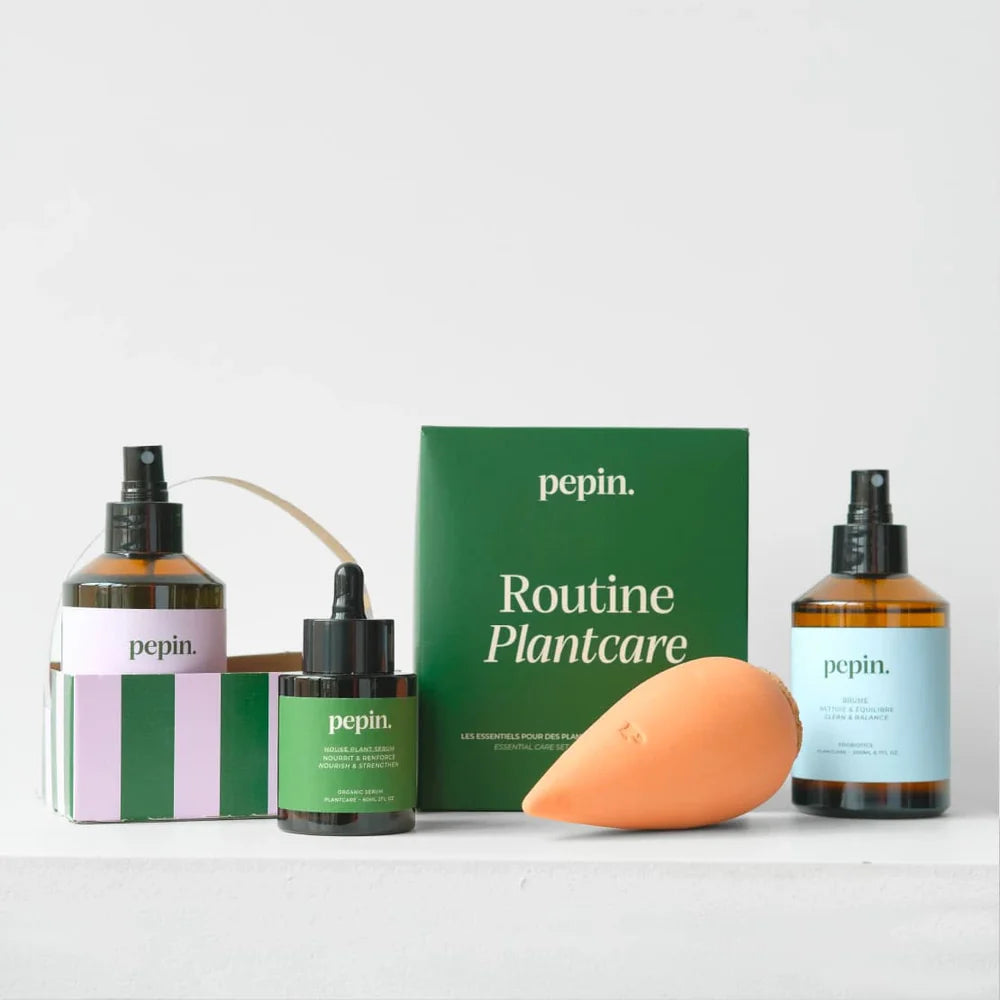 Coffret | Routine plantcare