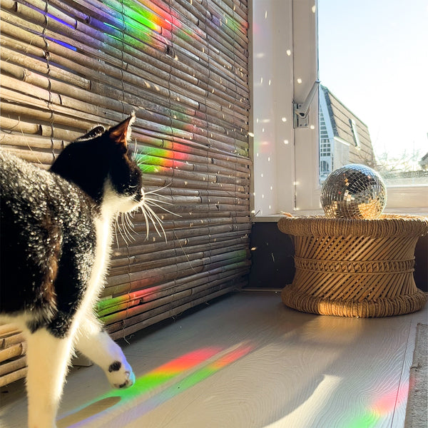 Sticker Suncatcher Arc-en-ciel