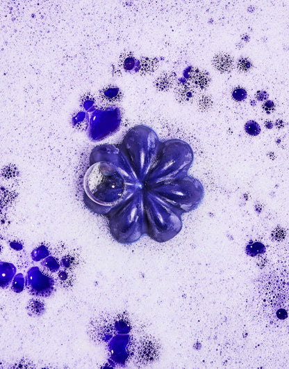 Shampooing solide | Violet