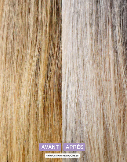 Shampooing solide | Violet