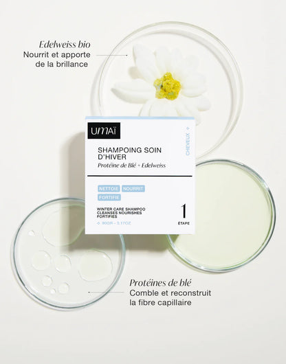 Shampooing solide | Soin d'hiver