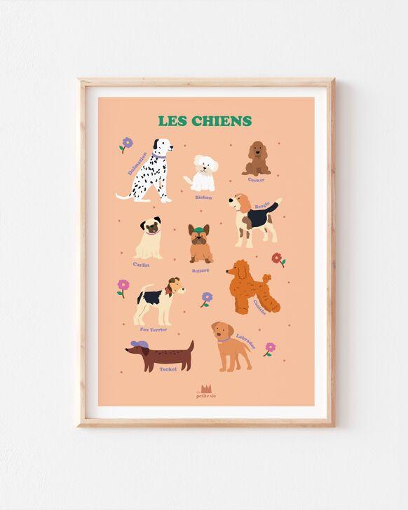 Grande Affiche | Les chiens - Nubia