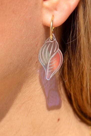 Boucles d'oreilles | Créoles Coquillages Spirales