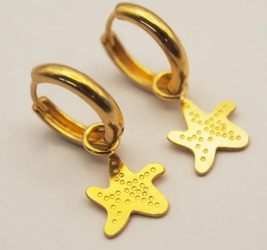 Earrings | Rainbow hoop earrings 