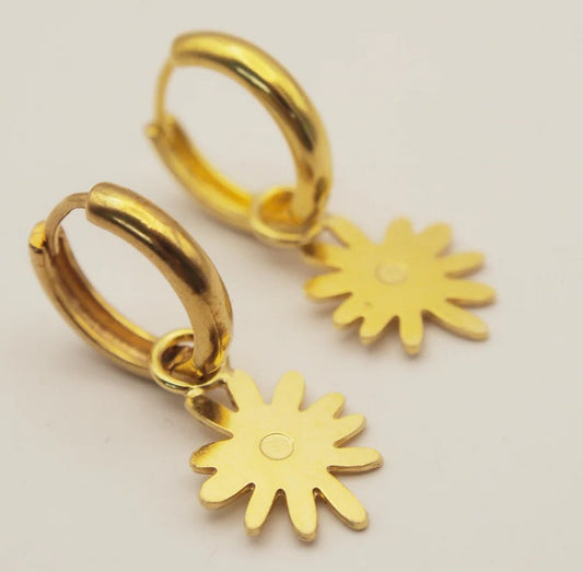Earrings | Rainbow hoop earrings 