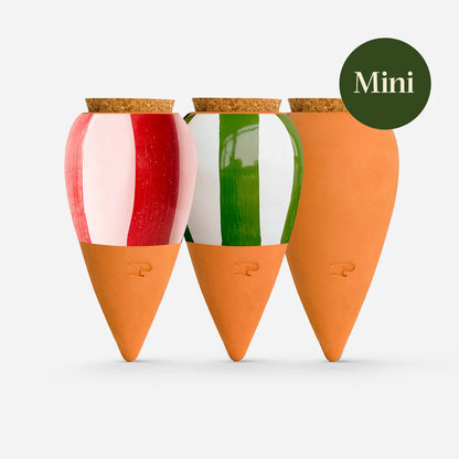 Coffret | Trio mini ollas - divers coloris