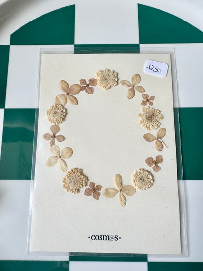 Carte mini herbier sous pochette