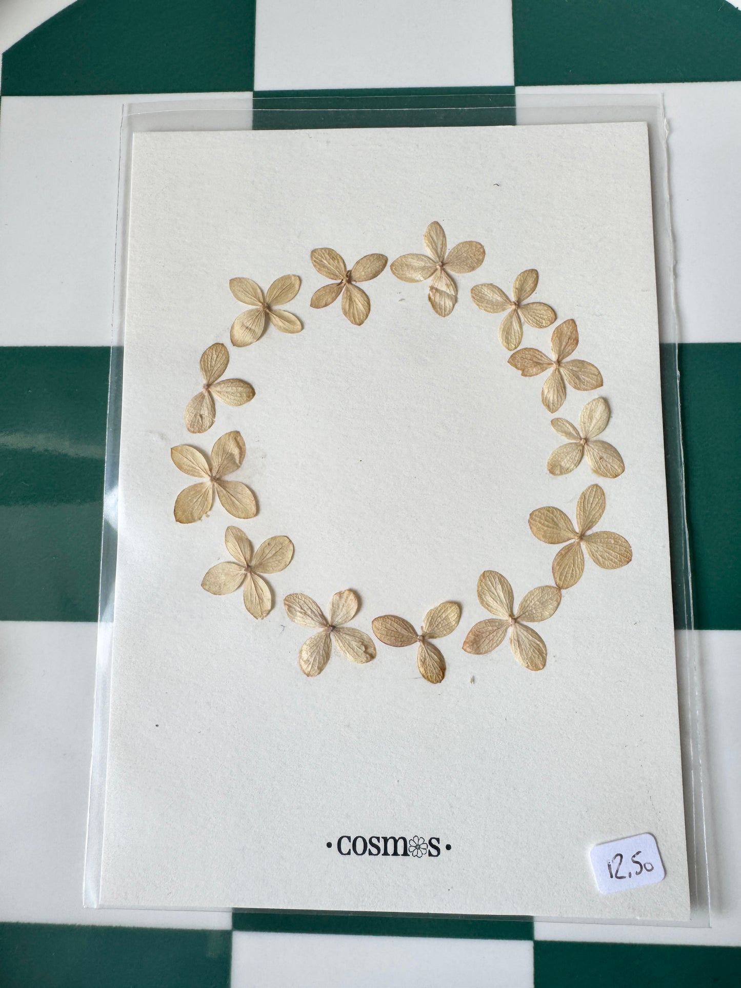 Carte mini herbier sous pochette